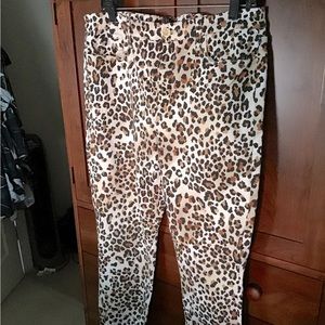NWOT- Jen 7 leopard Design straight leg pants -Size 14. Excellent Condition